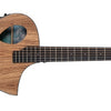 Michael Kelly Guitars Forte Port Exotic Zebra Acoustic Guitar 365509 809164025535