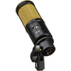 Heil Sound PR 40 Dynamic Cardioid Front-Address Studio Microphone (Black with Gold Screen) 365002 885936794076