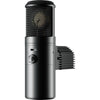 Warm Audio WA-8000 Large-Diaphragm Multipattern Tube Condenser Microphone 383977 850016400697