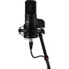 Warm Audio WA-8000 Large-Diaphragm Multipattern Tube Condenser Microphone 383977 850016400697