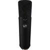 Warm Audio WA-87 R2 Large-Diaphragm Multipattern Condenser Microphone (Black) 357627 850016400598