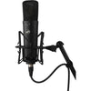 Warm Audio WA-87 R2 Large-Diaphragm Multipattern Condenser Microphone (Black) 357627 850016400598