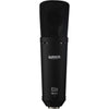 Warm Audio WA-87 R2 Large-Diaphragm Multipattern Condenser Microphone (Black) 357627 850016400598