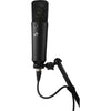 Warm Audio WA-87 R2 Large-Diaphragm Multipattern Condenser Microphone (Black) 357627 850016400598